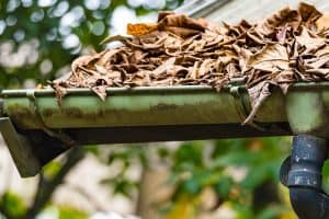 blocked gutters water damage